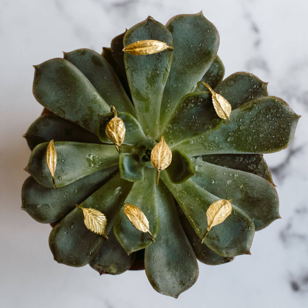 Leaf | tiny rings
